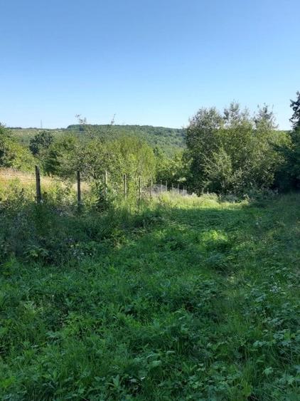 Teren agricol extravilan de 4400 mp, în Păun