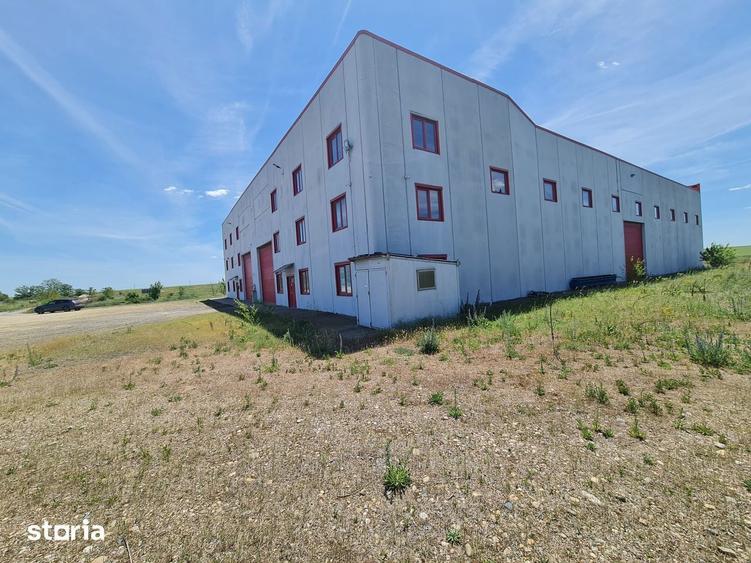 Spațiu comercial, de 40,000 mp, în Șagu