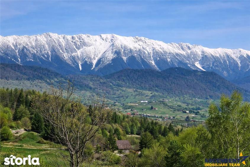 Teren de 6966 mp, în Fundata