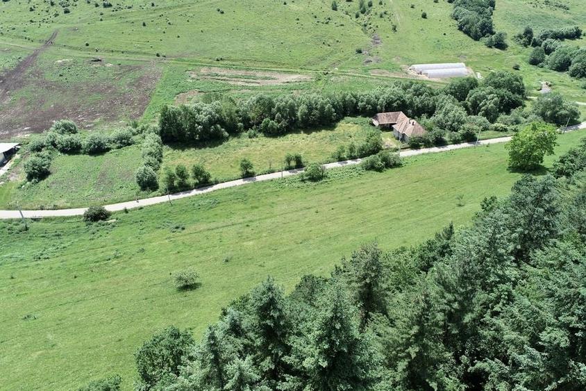 Teren de 8000 mp, în Micești