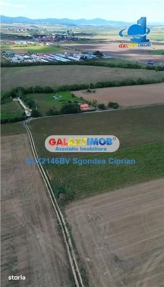 Teren de 1633 mp, în Feldioara