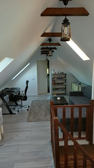 Casă individuală cu 3 camere cu Teren 3311 Mp în Ianova