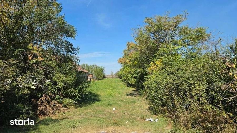 Teren de 1100 mp, în Petrăchioaia