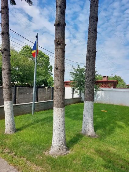 Casă cu Teren 674 Mp în Afumați