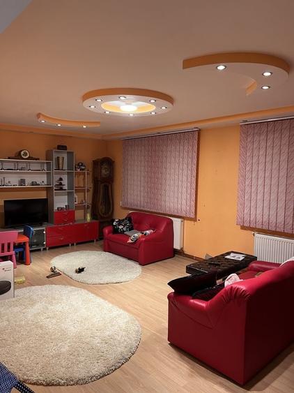 Casa cu etaj, 240 mp, an 2008,gradina 1000 mp. - Chisineu-Cris - 16