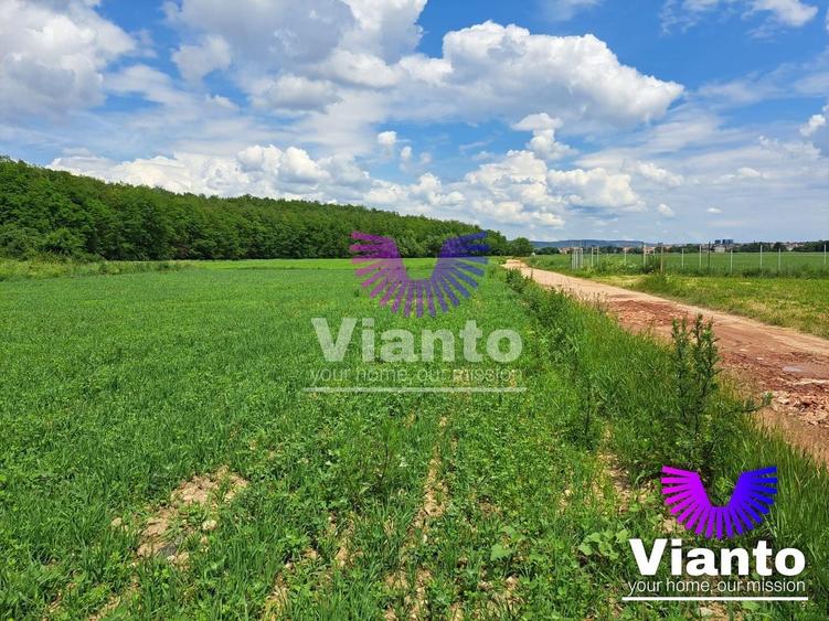 Teren agricol extravilan de 500 mp, în Turnișor