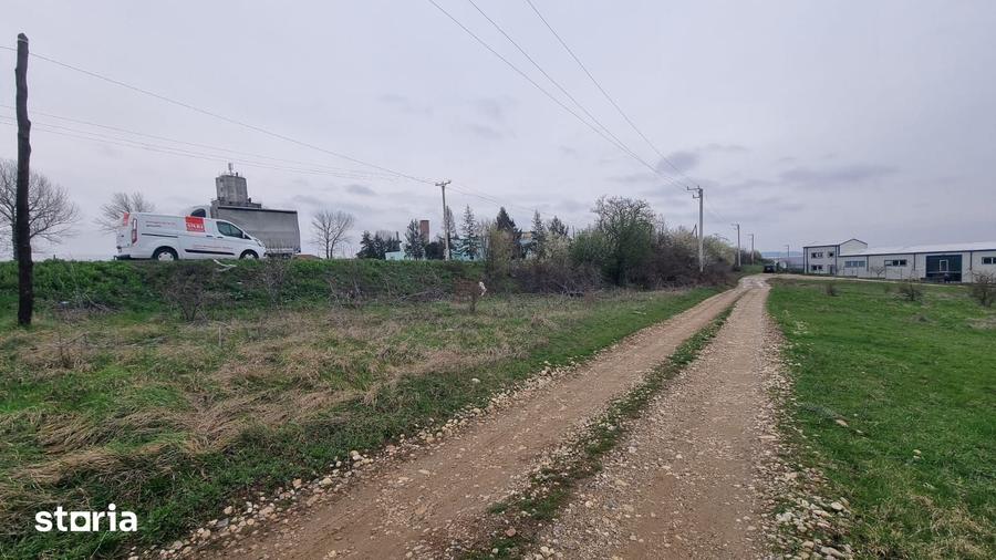 Teren de 8500 mp, în Albota