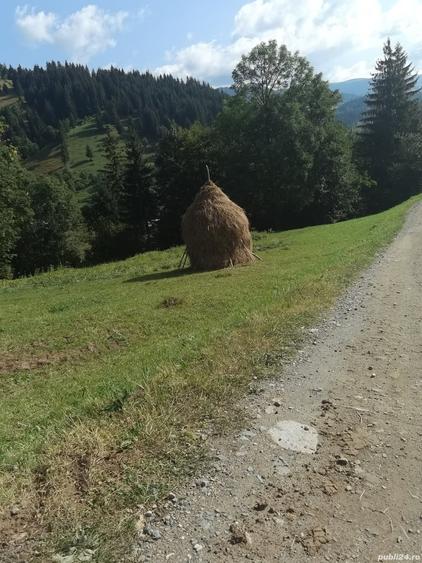 Teren de 1780 mp, în Central