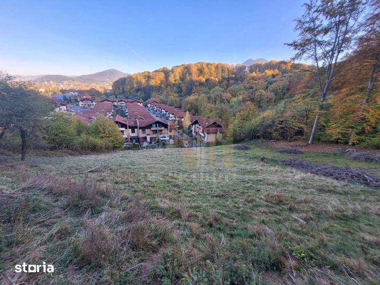 Teren de 2900 mp, în Dârste
