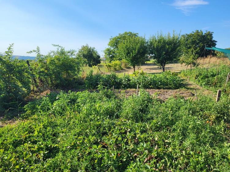 Casă cu 3 camere în Izvor
