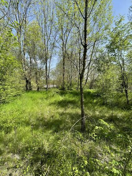 Teren de 5000 mp, în Valea Părului