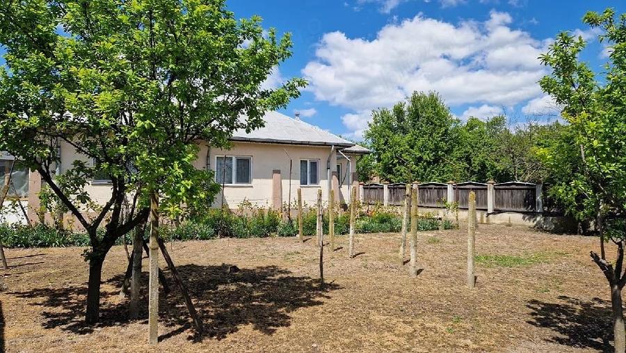 Casă cu Teren 1045 Mp în Ciorani