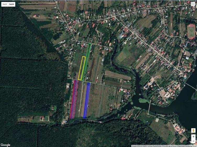 Teren Construcții intravilan de 43136 mp, în Siliștea Snagovului