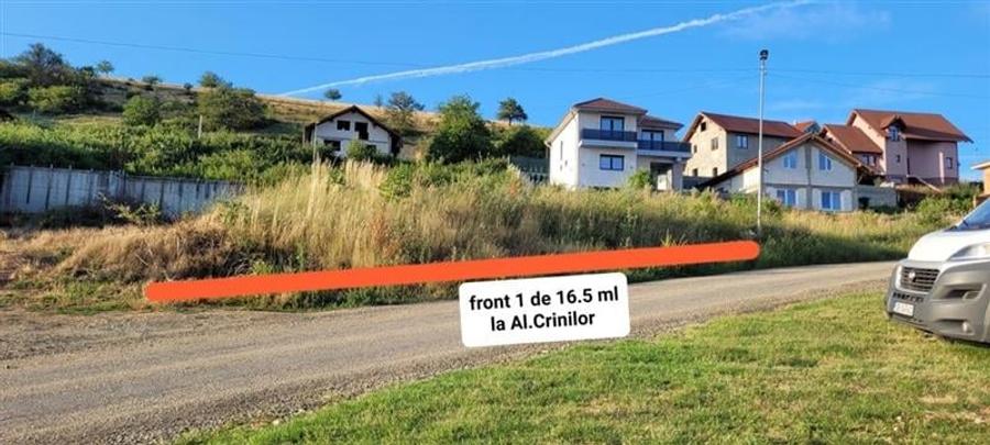 Teren Construcții intravilan de 491 mp, în Șura Mare
