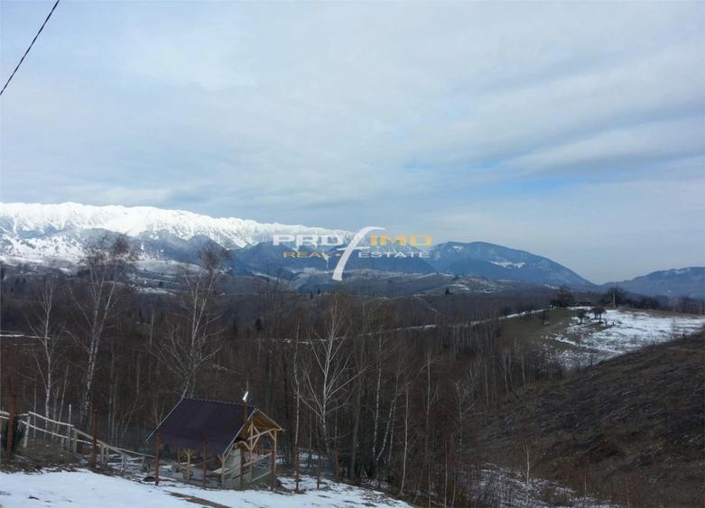 Moeciu, Drumul Carului, teren 3750 mp, 75000 euro - 6