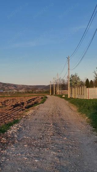 Teren de 4282 mp, în Târgu Trotuș