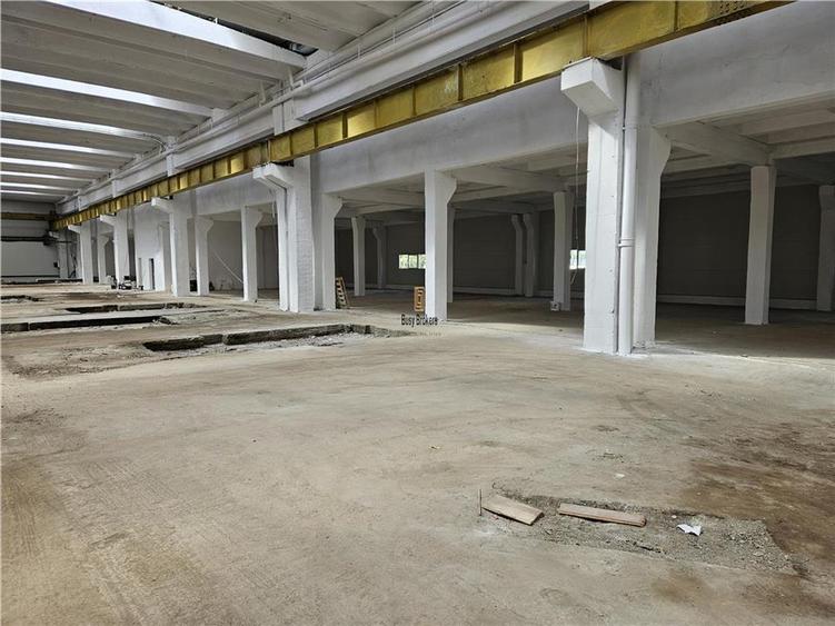 Spațiu industrial, de 6,500 mp, în Mârșa