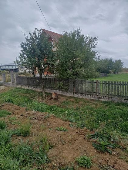 Teren de 1330 mp, în Cionchești