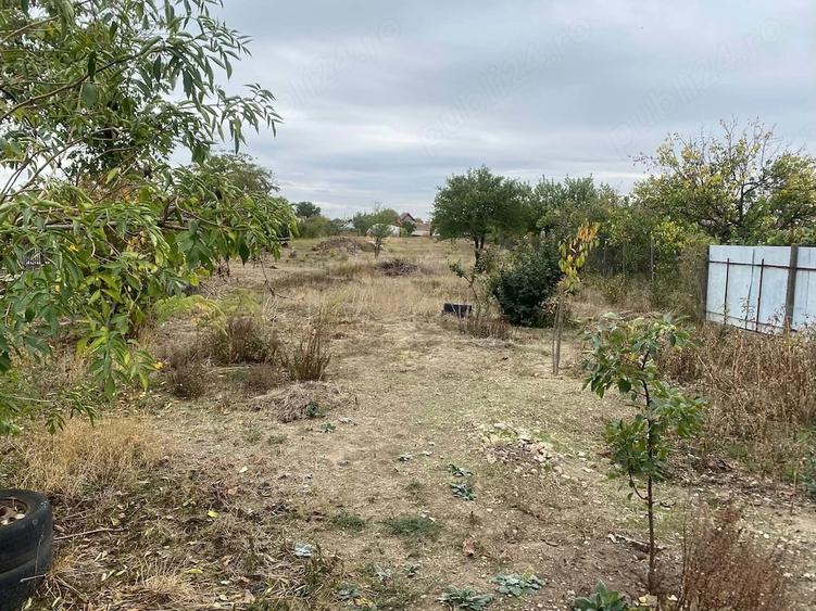 Casă cu 3 camere cu Teren 2200 Mp în Biharia