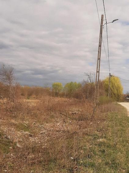 Teren de 2000 mp, în Sânnicolau Român