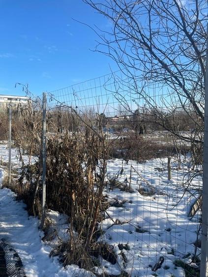 Teren Construcții intravilan de 10595 mp, în Giurgiului