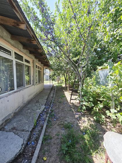 Casă individuală cu 3 camere cu Canalizare în Independența