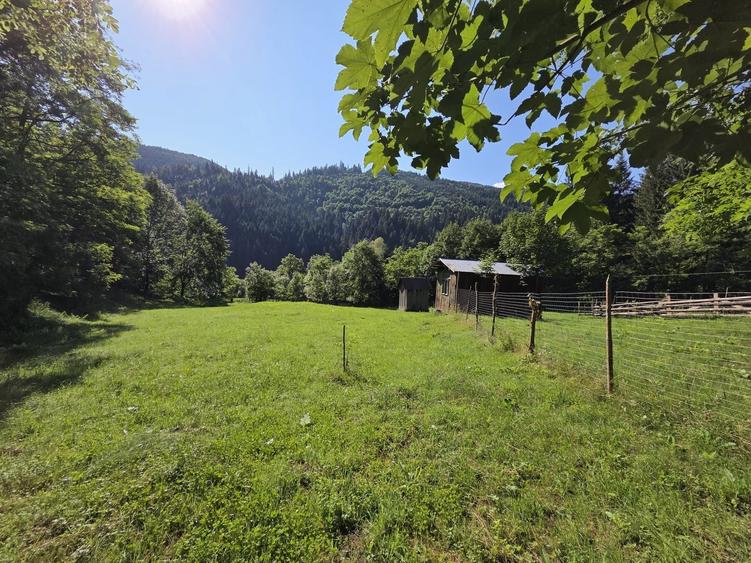 Teren de 3386 mp, în Borca