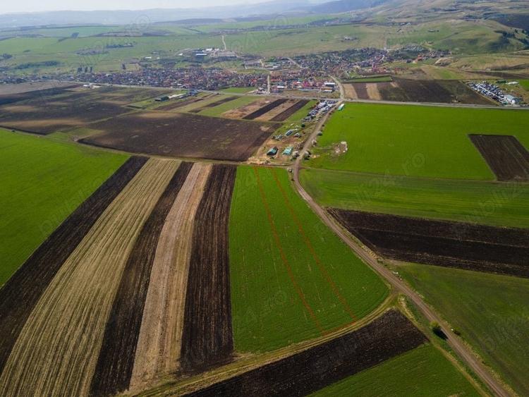 Teren de 8000 mp, în Copăceni
