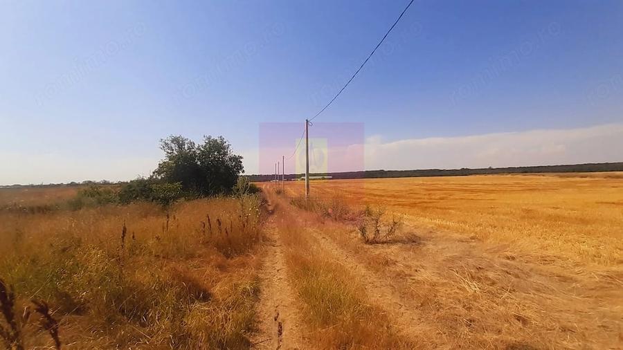 Teren de 2000 mp, în Brănești