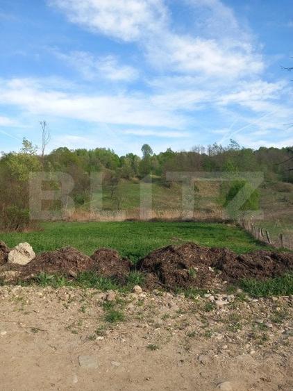 Teren Construcții intravilan de 4252 mp, în Vulcana-Pandele