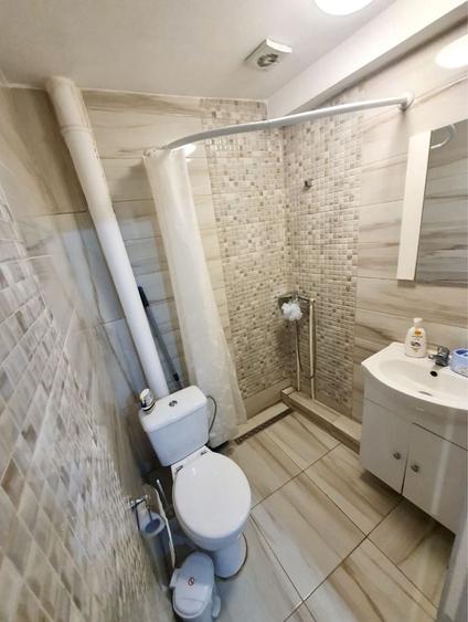 Apartament Pet Friendly Balcescu Central Elisabetin Complex Studentesc Politehnica UVT Medicina 2 Liceul Moisil Piata Maria Victoriei Judetean - 4