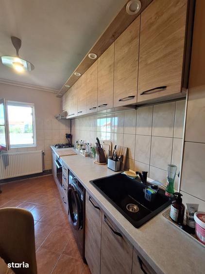 !! 3 Camere model mare.. zona Timocului-A. Saguna vedere spre Bega - 13