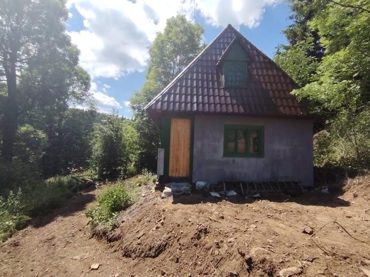 Casă cu 2 camere în Muntele Băișorii