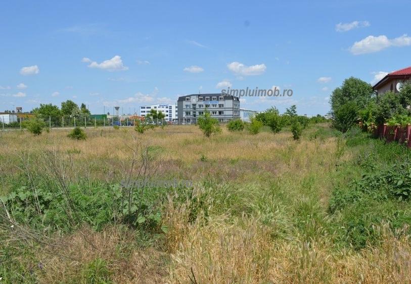 Teren agricol extravilan de 8000 mp, în Manolache