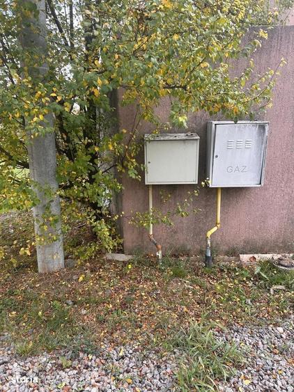 Spațiu comercial, în Pasărea