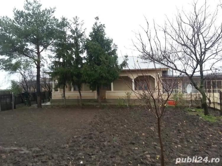 Casă cu 5 camere în Central