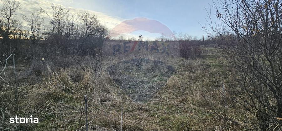 Teren de 2500 mp, în Odobești