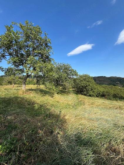 Teren de 2580 mp, în Poiana