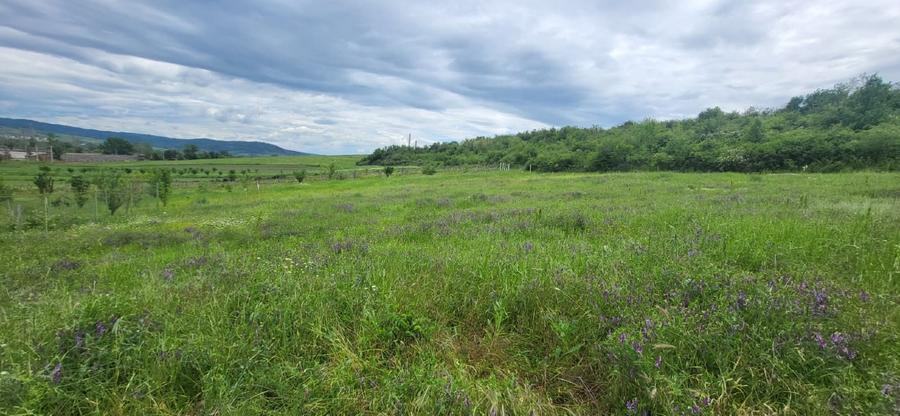 Teren agricol intravilan de 1884 mp, în Schinteiești