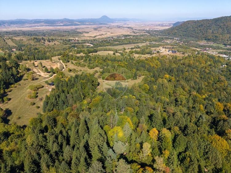 Teren Construcții de 9300 mp, în Glăjărie