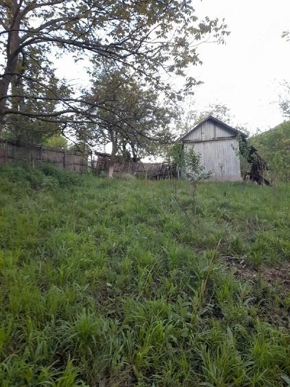 Casă cu Teren 1800 Mp în Anini