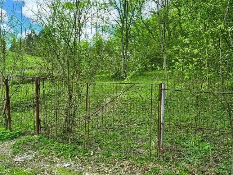 TEREN INTRAVILAN  | BREAZA | PROVITA DE JOS | VALEA PRAHOVEI | - 1