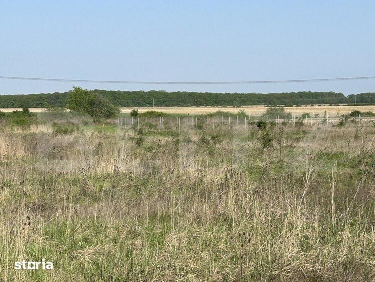 Teren intravilan, 500/900mp, zona Grigorescu 2 - 1