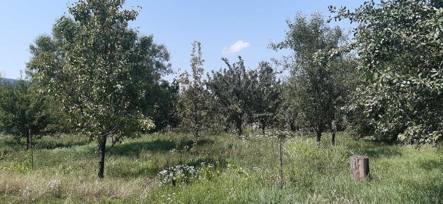 Teren de 1769 mp, în Central