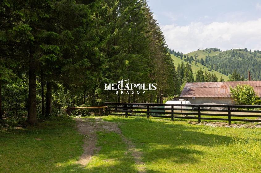 Teren Construcții intravilan de 12307 mp, în Moieciu de Sus