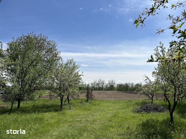 Teren de 7100 mp, în Răucești