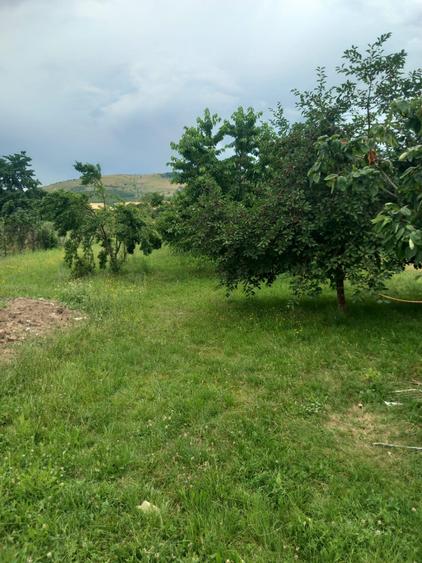 Casă individuală cu 2 camere cu Teren 2377 Mp în Benic