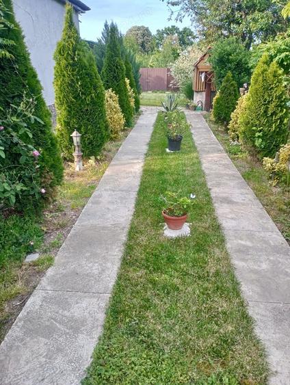 Casă cu 3 camere în Livada