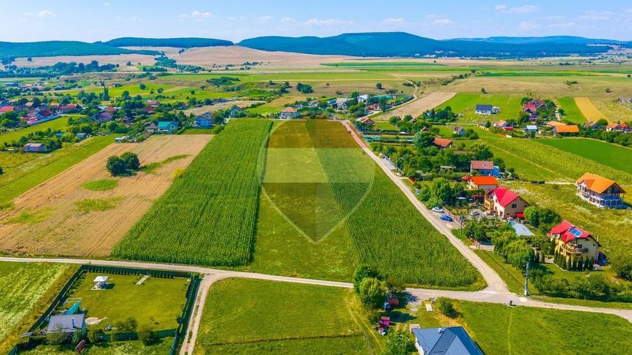 Teren Construcții intravilan de 10800 mp, în Podu Oltului