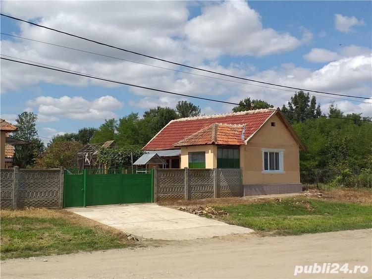 Casă cu 3 camere cu Teren 10000 Mp în Gherteniș